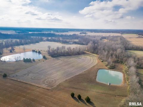 Tiny photo for 0000 Bolen Store Road, Thompsonville, IL 62890 (MLS # EB460781)