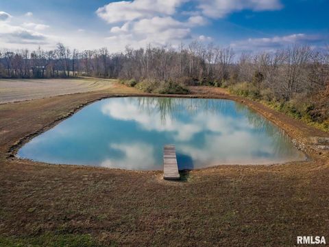 Tiny photo for 0000 Bolen Store Road, Thompsonville, IL 62890 (MLS # EB460781)