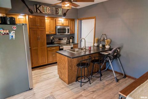 Tiny photo for 1621 HIGHWAY 24 Street, Paloma, IL 62359 (MLS # QC4269230)