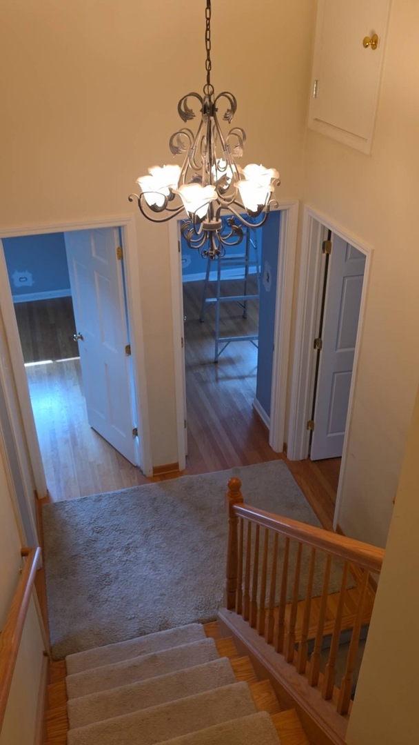 242 Holmes Avenue