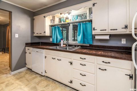 Tiny photo for 170 MELODY Lane, Murphysboro, IL 62966 (MLS # EB460309)