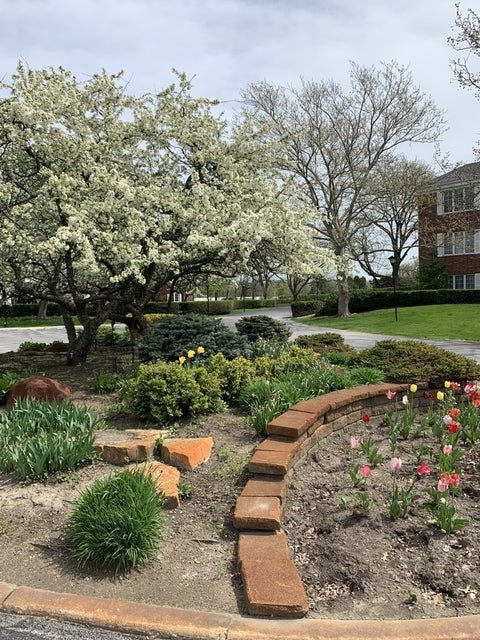 Tiny photo for 3415 Vollmer Road #308, Flossmoor, IL 60422 (MLS # 12761322)