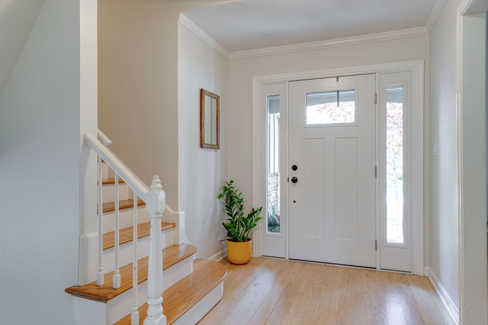 887 Timber Lane