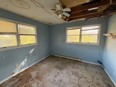 Tiny photo for 11035 Avery Road, WestFrank, IL 62896 (MLS # 100000137)