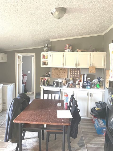 Tiny photo for 11 Willow Street, Dewey, IL 61840 (MLS # 12502133)