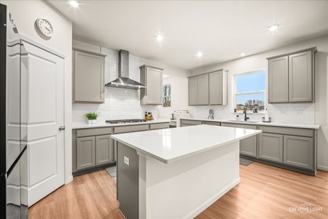 Tiny photo for 3667 Peregrine Way, Elgin, IL 60124 (MLS # 12560254)