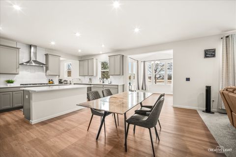 Tiny photo for 3667 Peregrine Way, Elgin, IL 60124 (MLS # 12560254)