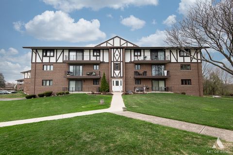 11012 S Theresa Circle 3C Palos Hills IL 60465