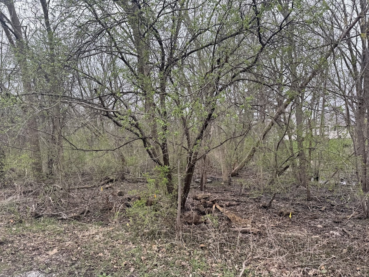 22828 Frederick Road