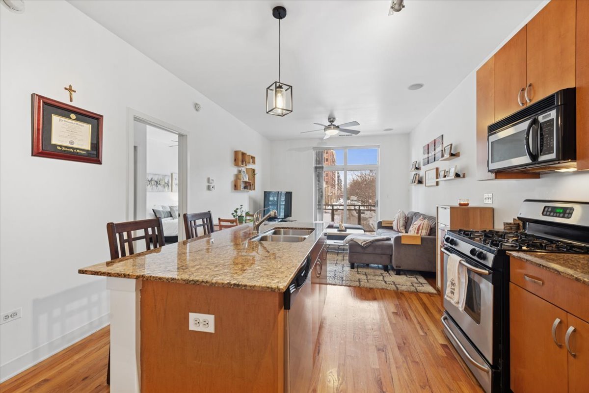 1515 S HALSTED Street 204