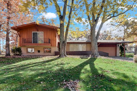 Photo of 24237 S Thorn Creek Lane, Crete, IL 60417 (MLS # 12511481)