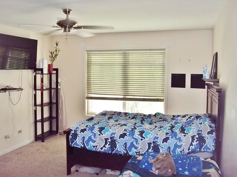 Tiny photo for 424 Van Gogh Circle, Bolingbrook, IL 60440 (MLS # 12436569)