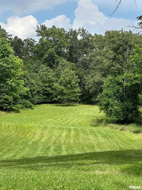 Tiny photo for 615 LIBERTY Road, Harrisburg, IL 62946 (MLS # EB459954)