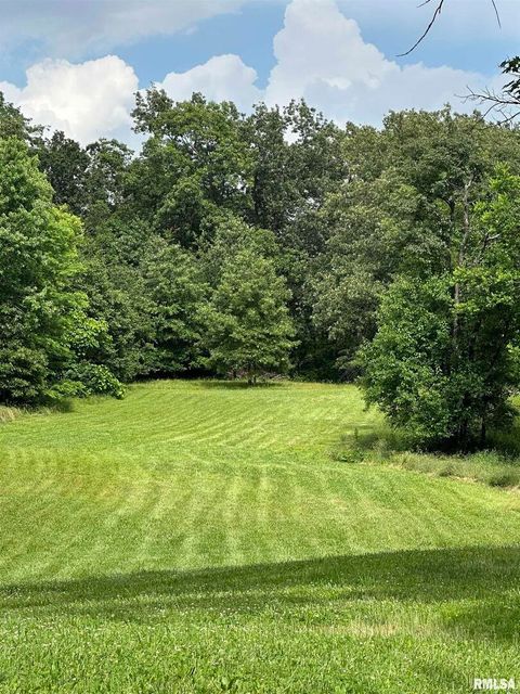 Tiny photo for 615 LIBERTY Road, Harrisburg, IL 62946 (MLS # EB459954)