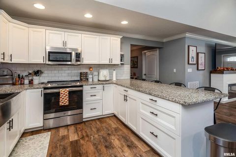 Tiny photo for 412 Noah Lane, Carterville, IL 62918 (MLS # QC4268650)