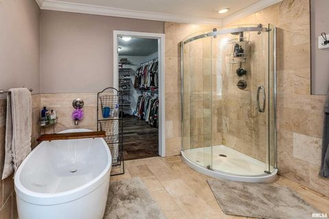 Tiny photo for 412 Noah Lane, Carterville, IL 62918 (MLS # QC4268650)