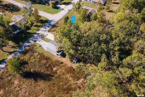 Tiny photo for 412 Noah Lane, Carterville, IL 62918 (MLS # QC4268650)