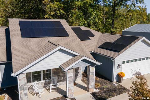 Tiny photo for 412 Noah Lane, Carterville, IL 62918 (MLS # QC4268650)