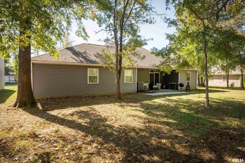 Tiny photo for 412 Noah Lane, Carterville, IL 62918 (MLS # QC4268650)