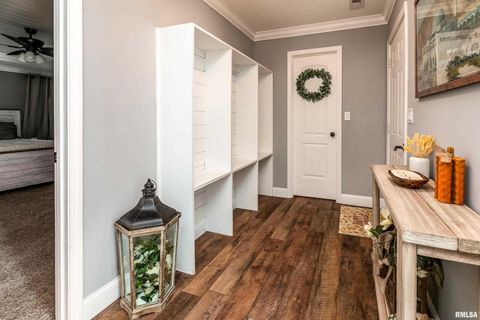 Tiny photo for 412 Noah Lane, Carterville, IL 62918 (MLS # QC4268650)