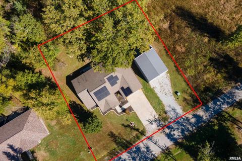 Tiny photo for 412 Noah Lane, Carterville, IL 62918 (MLS # QC4268650)