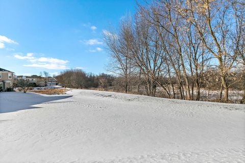 Tiny photo for 562 Gunnison Court, Gilberts, IL 60136 (MLS # 12550283)