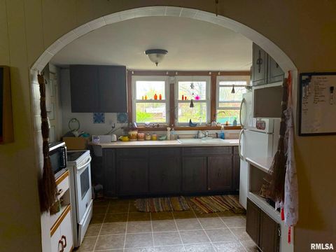 Photo of 315 W Furlong Street, Carrier Mills, IL 62917 (MLS # EB457487)