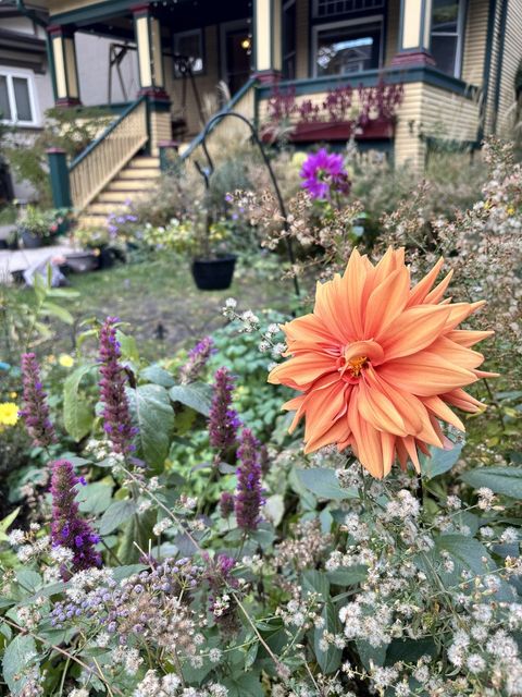 Tiny photo for 704 S Elmwood Avenue, Oak Park, IL 60304 (MLS # 12595790)