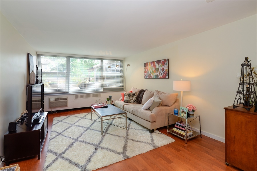 555 W Cornelia Avenue 204