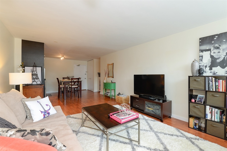 555 W Cornelia Avenue 204