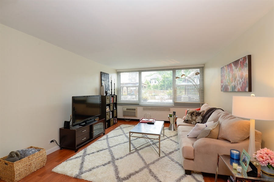 555 W Cornelia Avenue 204