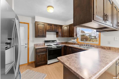 Tiny photo for 703 2ND Street, Colona, IL 61241 (MLS # QC4269415)