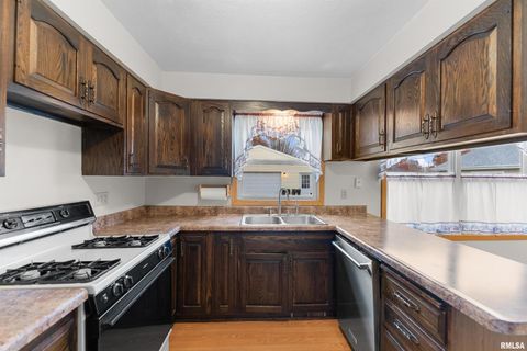 Tiny photo for 703 2ND Street, Colona, IL 61241 (MLS # QC4269415)