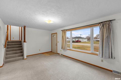 Tiny photo for 703 2ND Street, Colona, IL 61241 (MLS # QC4269415)