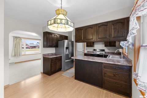 Tiny photo for 703 2ND Street, Colona, IL 61241 (MLS # QC4269415)