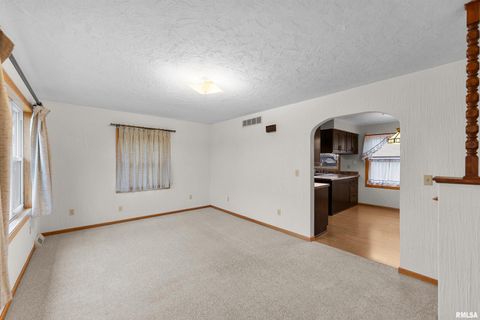 Tiny photo for 703 2ND Street, Colona, IL 61241 (MLS # QC4269415)