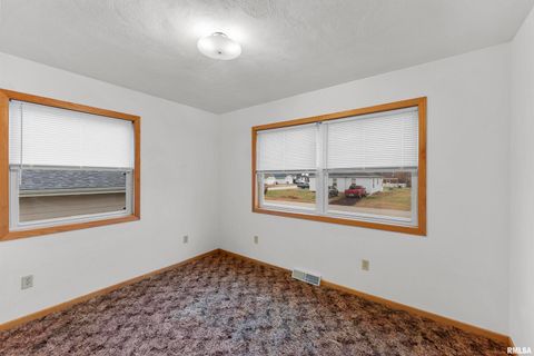 Tiny photo for 703 2ND Street, Colona, IL 61241 (MLS # QC4269415)