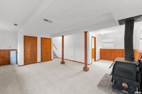 Tiny photo for 703 2ND Street, Colona, IL 61241 (MLS # QC4269415)