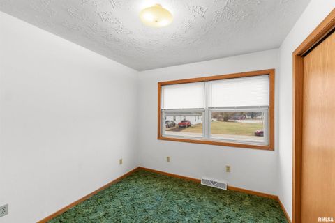 Tiny photo for 703 2ND Street, Colona, IL 61241 (MLS # QC4269415)