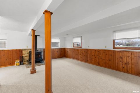 Tiny photo for 703 2ND Street, Colona, IL 61241 (MLS # QC4269415)