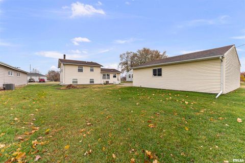 Tiny photo for 703 2ND Street, Colona, IL 61241 (MLS # QC4269415)