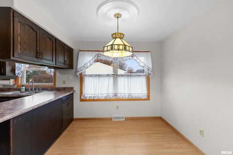 Tiny photo for 703 2ND Street, Colona, IL 61241 (MLS # QC4269415)