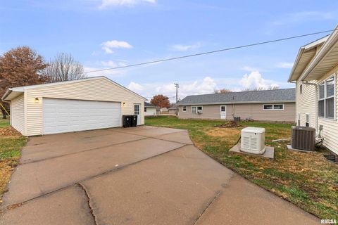 Tiny photo for 703 2ND Street, Colona, IL 61241 (MLS # QC4269415)
