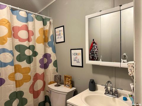 Tiny photo for 65 Payne Drive, Goreville, IL 62939 (MLS # EB459963)