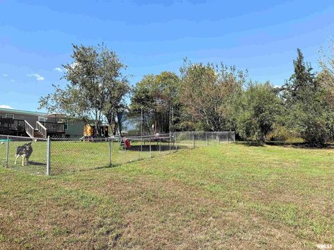 Tiny photo for 65 Payne Drive, Goreville, IL 62939 (MLS # EB459963)