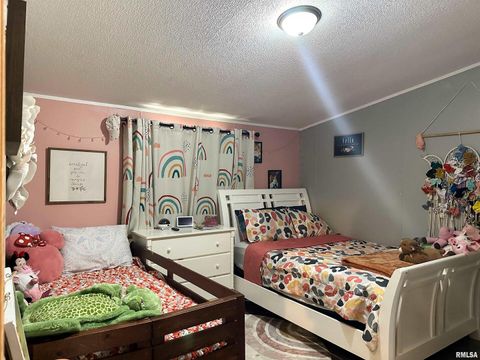 Tiny photo for 65 Payne Drive, Goreville, IL 62939 (MLS # EB459963)