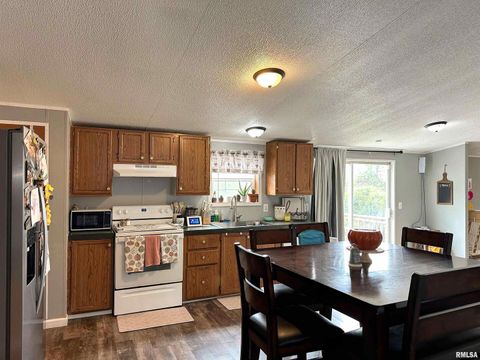 Tiny photo for 65 Payne Drive, Goreville, IL 62939 (MLS # EB459963)