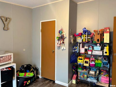 Tiny photo for 65 Payne Drive, Goreville, IL 62939 (MLS # EB459963)