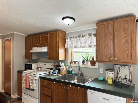 Tiny photo for 65 Payne Drive, Goreville, IL 62939 (MLS # EB459963)