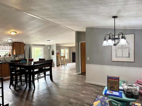 Tiny photo for 65 Payne Drive, Goreville, IL 62939 (MLS # EB459963)